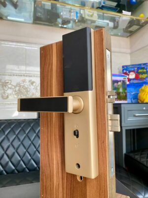 Khóa điện tử vân tay DSmart PN02T cho cửa gỗ 22 Khóa vân tay DSmart PN02T màu vàng gold