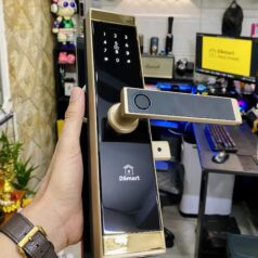 Khóa điện tử vân tay DSmart PN02T App TTLOCK