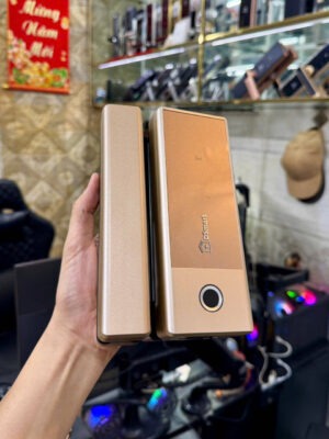 Khoá điện tử vân tay cửa kính DSmart K36T 14 khóa điện tử kính cường lực màu gold, thành phố hồ chí minh