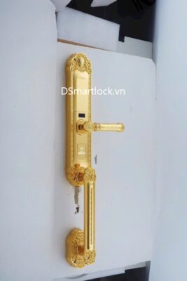 Khóa điện tử tân cổ điển DSmart DS68Y App TUYA 17 Khóa điện tử tân cổ điển DSmart DS68Y App TUYA