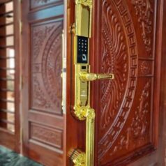 Khóa điện tử tân cổ điển DSmart DS68Y App TUYA