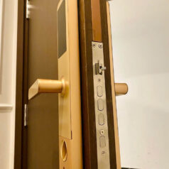 Khóa vân tay thẻ từ DSmart PL38T cho cửa gỗ, căn hộ