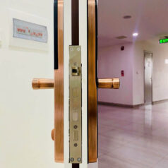 Khóa Điện Tử Vân Tay PL35T DSmartLock 6 Khóa vân tay thẻ từ DSmart PL36T cho cửa gỗ, căn hộ