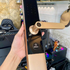 Khóa vân tay thẻ từ DSmart PL38T cho cửa gỗ, căn hộ