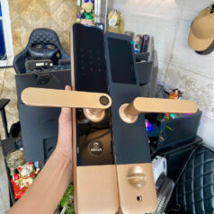 Khóa vân tay thẻ từ DSmart PL38T cho cửa gỗ, căn hộ