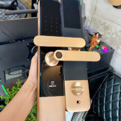 Khóa vân tay thẻ từ DSmart PL38T cho cửa gỗ, căn hộ