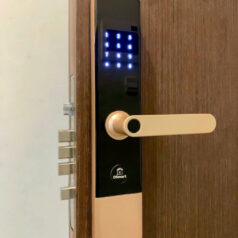 Khóa vân tay thẻ từ DSmart PL38T cho cửa gỗ, căn hộ