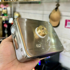 Khóa điện tử Cửa Cổng DSmart 1C35T-C 1 mặt (bên trong chìa) bằng inox