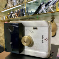 Khóa Cửa Cổng DSmart 2C35T Vân Tay 2 chiều CHỐNG NƯỚC