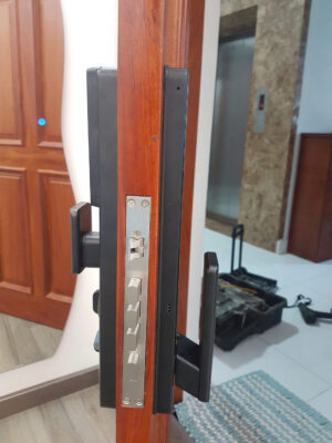 Khóa điện tử Face ID Nhận Dạng Khuôn Mặt DSmart PLA01T 24 Khóa Cửa Gỗ Thông Minh Nhận Dạng Khuôn Mặt FaceID Wifi DSmart PLA01T TTLock