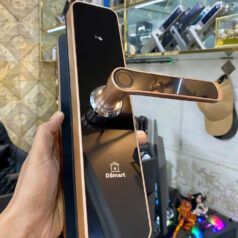 Khóa điện tử cửa gỗ vân tay Dsmart PN06T