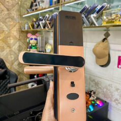 Khóa điện tử cửa gỗ vân tay Dsmart PN06T