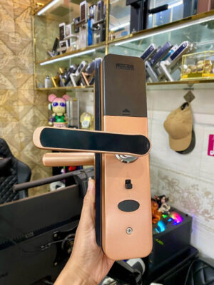 Khóa điện tử cửa gỗ vân tay DSmart PN06T 15 Khóa cửa gỗ Dsmart PN06T vân tay thông minh màu đồng