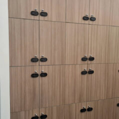 KHÓA ĐIỆN TỬ CỬA TỦ NGĂN KÉO DSMART K11