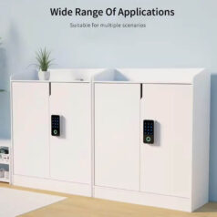 Khóa điện tử cửa tủ vân tay DSmart KT02T App TTLOCK