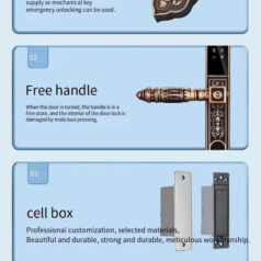 Khóa điện tử tân cổ điển DSmart CDN39T