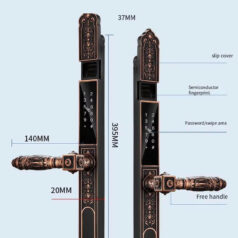 Khóa điện tử tân cổ điển DSmart CDN39T