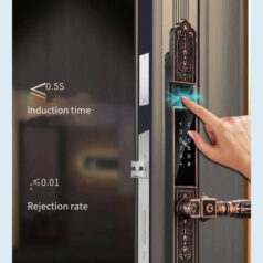 Khóa điện tử tân cổ điển DSmart CDN39T