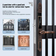 Khóa điện tử tân cổ điển DSmart CDN39T