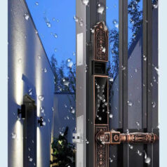 Khóa điện tử tân cổ điển DSmart CDN39T