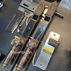 Khóa điện tử tân cổ điển DSmart CDN39T