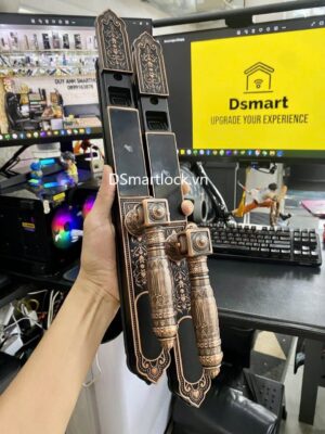 Khóa điện tử tân cổ điển DSmart CDN39T vân tay 2 chiều 35 Khóa vân tay 2 mặt cho cửa cổng biệt thự DSmart CDN39T