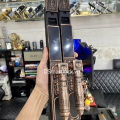 Khóa điện tử tân cổ điển DSmart CDN39T