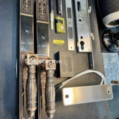 Khóa vân tay 2 mặt cho cửa cổng biệt thự DSmart CDN39T