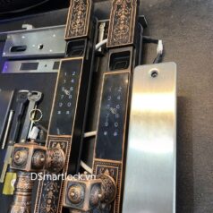 Khóa vân tay 2 mặt cho cửa cổng biệt thự DSmart CDN39T