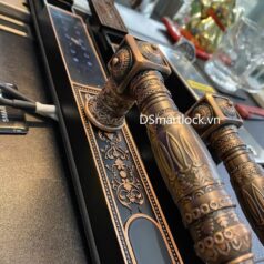 Khóa vân tay 2 mặt cho cửa cổng biệt thự DSmart CDN39T