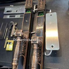 Khóa điện tử tân cổ điển DSmart CDN39T