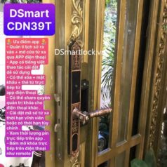 Khóa điện tử tân cổ điển DSmart CDN39T