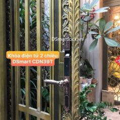 Khóa điện tử tân cổ điển DSmart CDN39T