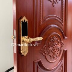 Khóa Điện Tử Tân Cổ Điển Cửa Sảnh Đồng DSmart DTP39