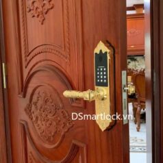 Khóa Điện Tử Tân Cổ Điển Cửa Sảnh Đồng DSmart DTP39