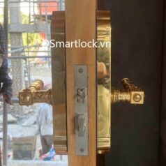 Khóa Điện Tử Tân Cổ Điển Cửa Sảnh Đồng DSmart DTP39