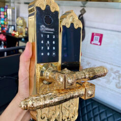 Khóa Điện Tử Tân Cổ Điển Cửa Sảnh Đồng DSmart DTP39