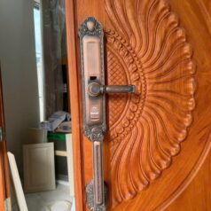 Khóa điện tử tân cổ điển DSmart DS68Y App TUYA