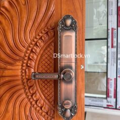 Khóa điện tử tân cổ điển DSmart DS68Y App TUYA