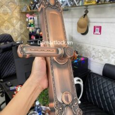 Khóa điện tử tân cổ điển DSmart DS68Y App TUYA