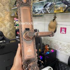 Khóa điện tử tân cổ điển DSmart DS68Y App TUYA