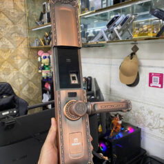 Khóa điện tử tân cổ điển DSmart DS68Y App TUYA