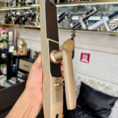 Đầu đọc vân tay siêu nhạy của khóa cửa thông minh DSmart N39T Gold