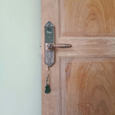 khóa cửa gỗ vân tay cổ điển Dsmart DTP38 có chìa cơ, app TTLOCK