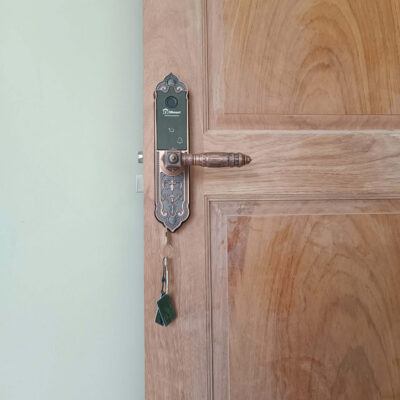 khóa cửa gỗ vân tay cổ điển Dsmart DTP38 có chìa cơ, app TTLOCK