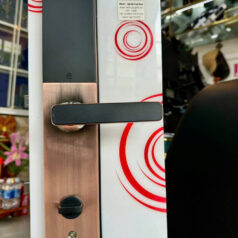 Khóa Vân Tay Thông Minh PL22T