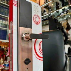 Khóa Vân Tay Thông Minh PL22T