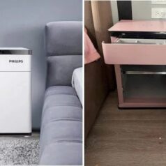 Két Sắt Philips SBX301 màu hồng chống cháy