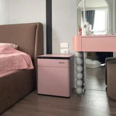 Két Sắt Philips SBX301 màu hồng chống cháy