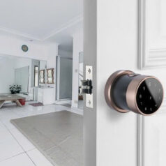 Khóa Điện Tử DSmart NT03T cho cửa tay nắm tròn 4 Khóa Cửa Phòng Thông Minh DSmart NT05